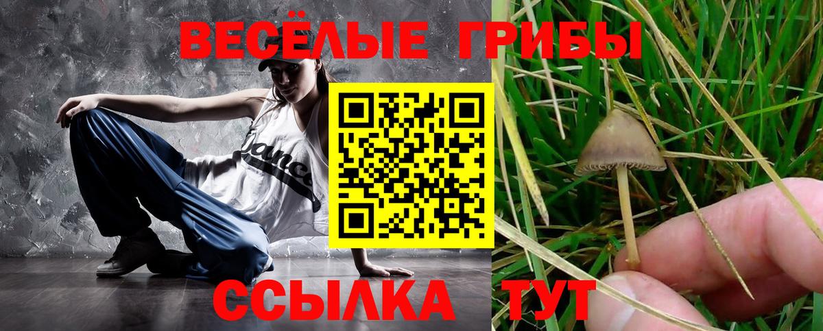 Псилоцибиновые грибы Magic Shrooms Выкса