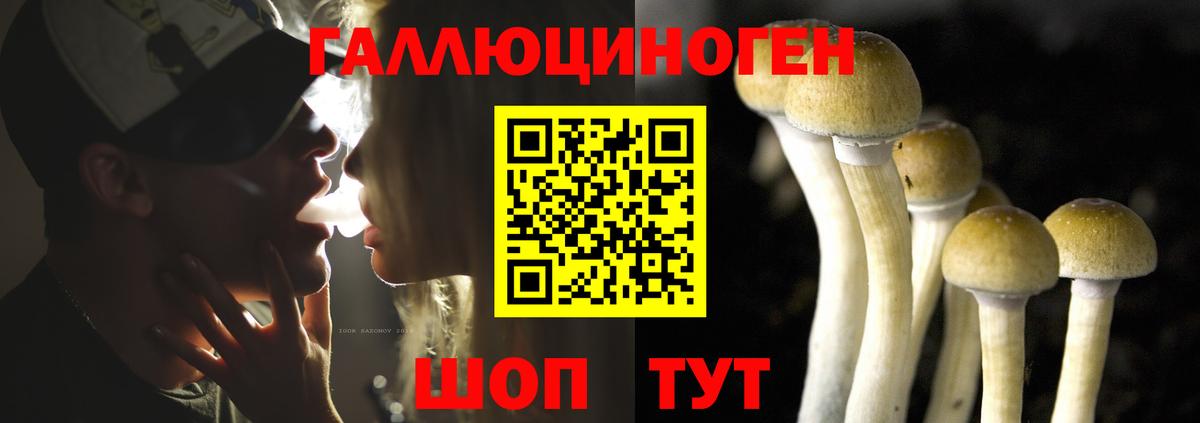 Псилоцибиновые грибы Psilocybine cubensis  Вход с VPN  как найти   Выкса  Галлюциногенные грибы MAGIC MUSHROOMS 